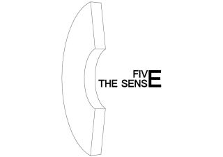 THE SENSE FIVE THE SENSE FIVE
